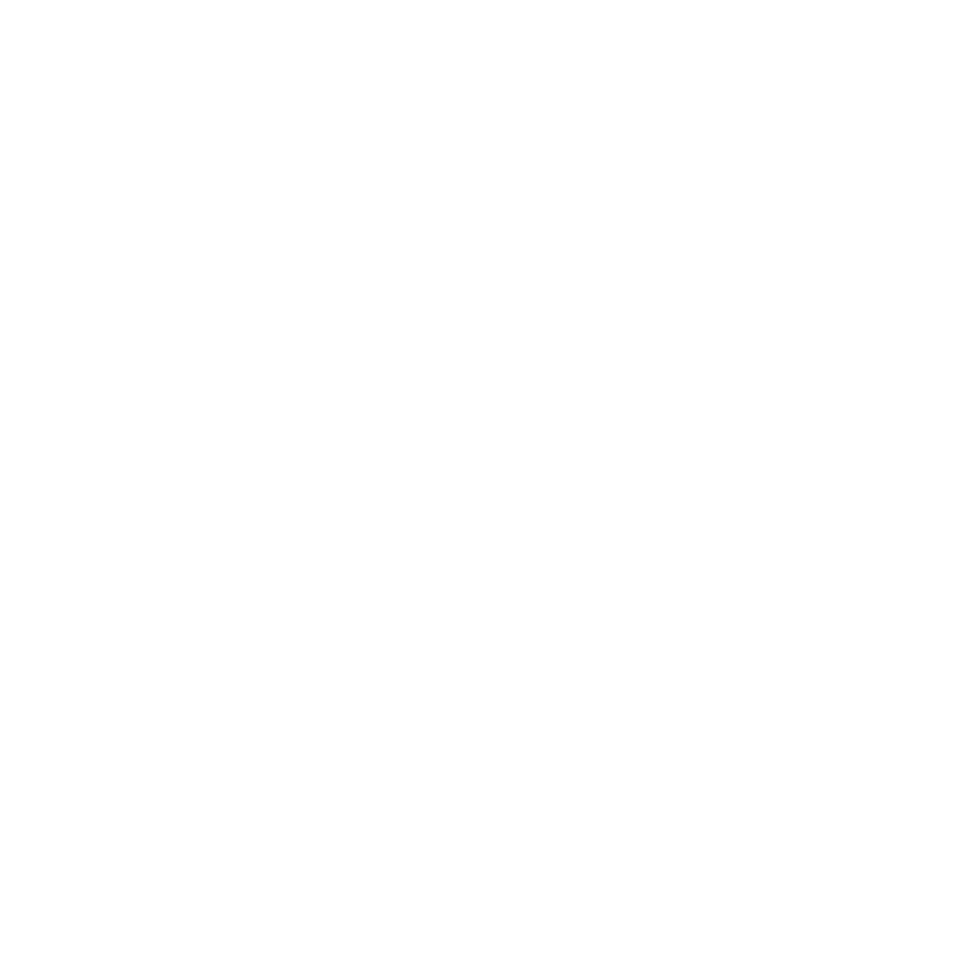 Vizar
